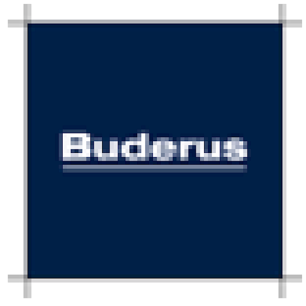 das buderus logo